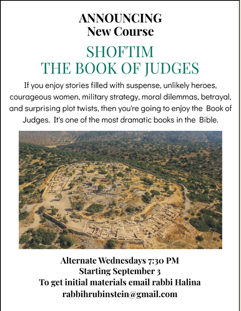 Men's Tanach Class